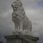 Lion assis gr